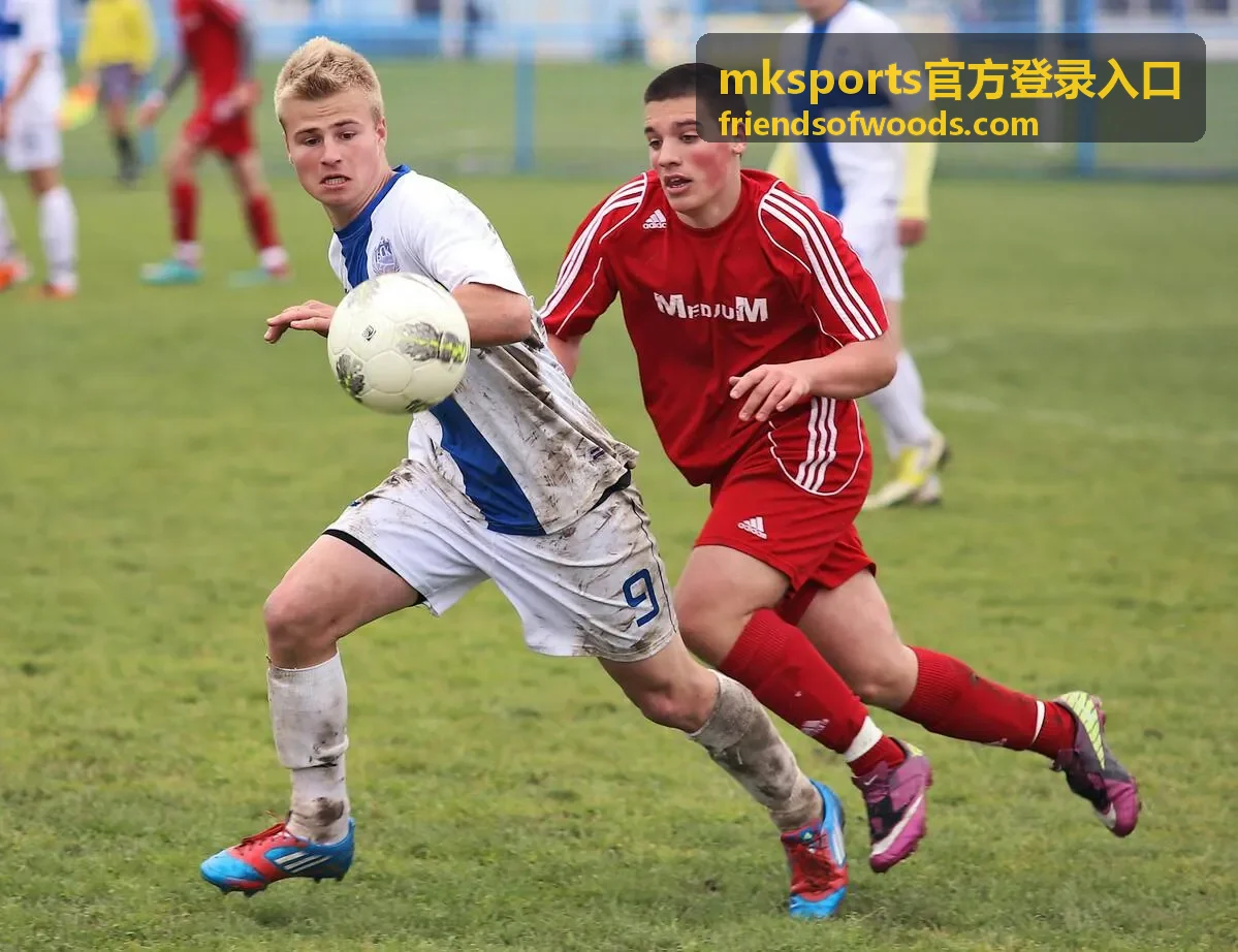 mksports官方登录入口 登录通道页面示意