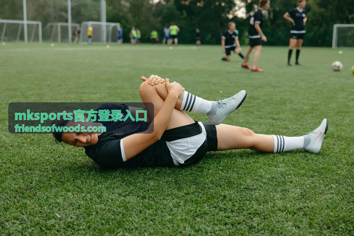 mksports官方登录入口 账号验证环境检查示意